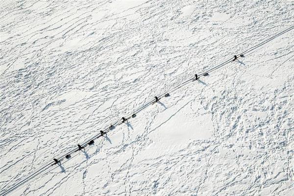 公司域名注册几个_挂机宝Telegram机器人