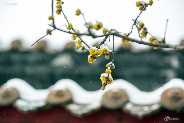 联想Z6 Pro评测:性价比超强,四摄相机可玩性极佳_P4挂机宝