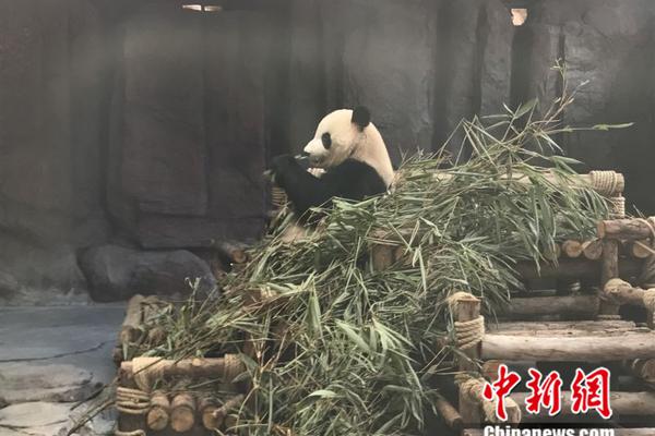 居民购房杠杆率连降5个季度 房价涨幅将收窄_云电脑程序员