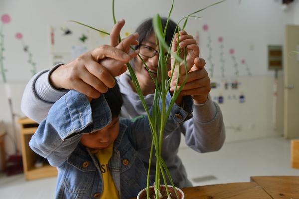 为了不被催婚，我给父亲写了封信_CN2服务器选购指南