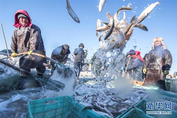 高考问答063：福建新高考方案专家解读