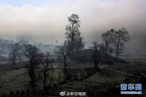 花808万进耶鲁!21岁中国女孩卷入美国舞弊案,最贵的花4300万_# 9929云主机相关关键词