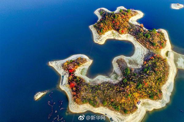 罗永浩：比起悲剧英雄更喜欢被当成失败的小丑_9929远程开发