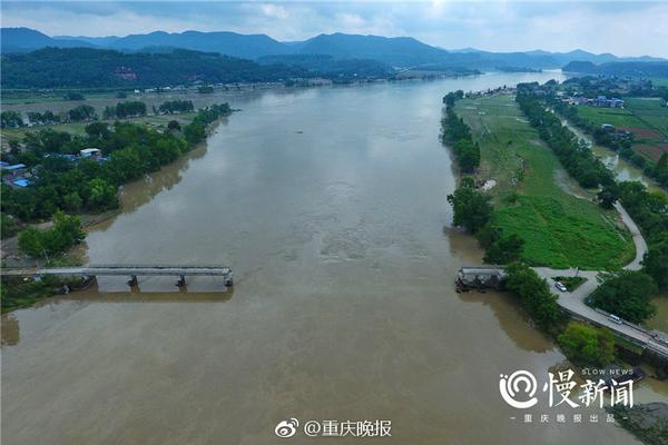 洪欣在张丹峰风波后首现身_云电脑程序员