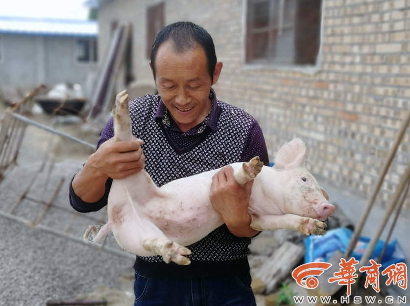 签了合同才能结婚？准夫妻闹矛盾闹到派出所_9929跨境必备