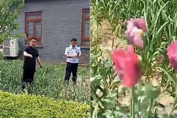 陕西省委原常委被双开:一再拒绝党组织挽救_云服务器