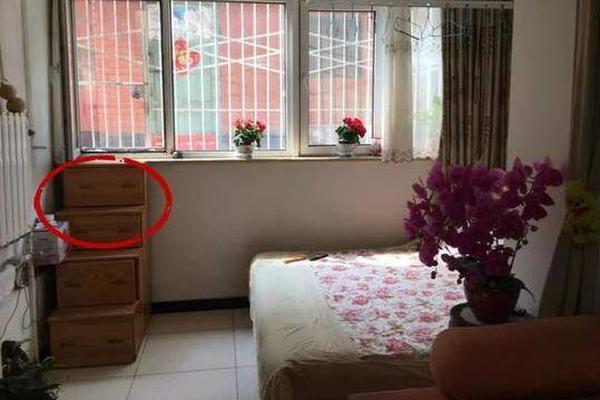 90后美女和她的300多件定制“蔬菜塑…_青云云服务器