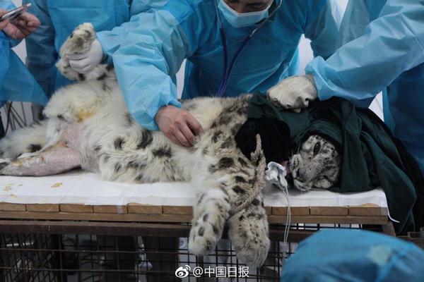 试驾东风日产全新逍客:更加精致_阿里云99计划