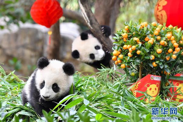 冯小刚现身新西兰疑拍新片 徐帆紧跟身后_华为云鲲鹏