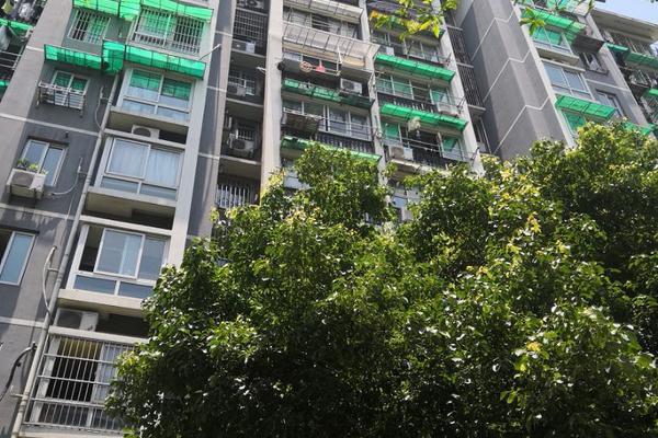 29日在售高收益银行理财产品_云电脑对比