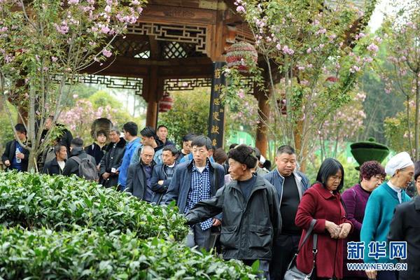 欧文准三双绿军22分大胜雄鹿1-0_图形云电脑