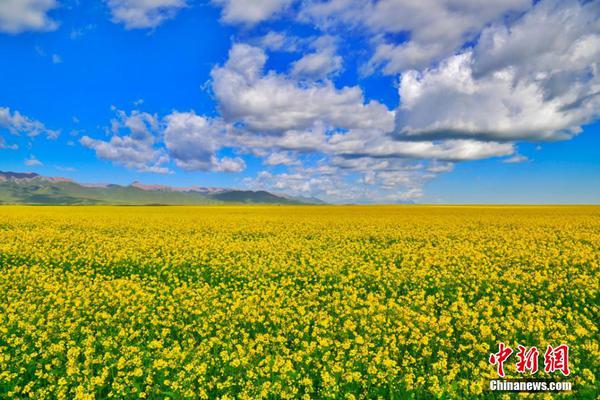 如何开通域名签约店铺_9929网络稳定性