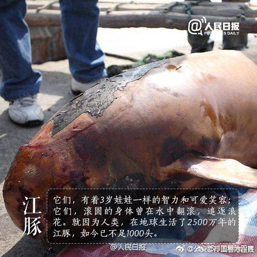 三国猛将中,典韦如排第三,许褚第一个不服_9929独立IP