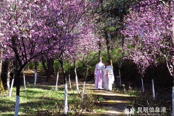 日本史上最长10连休 六成民众将宅在家_CN2服务器对比