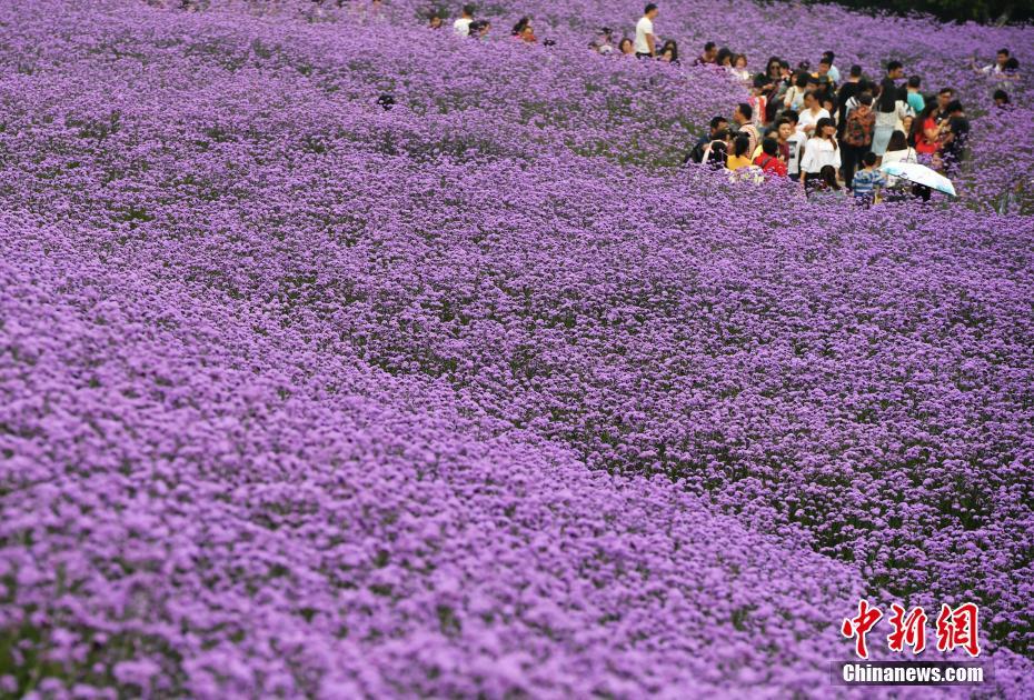 李光斗:大火改变法国像911改变美国_2026年CN2服务器推荐