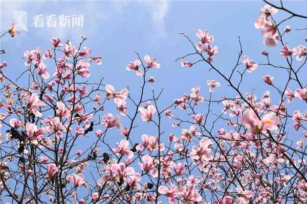 爱30年为何不敌相识两年_挂机宝挖矿