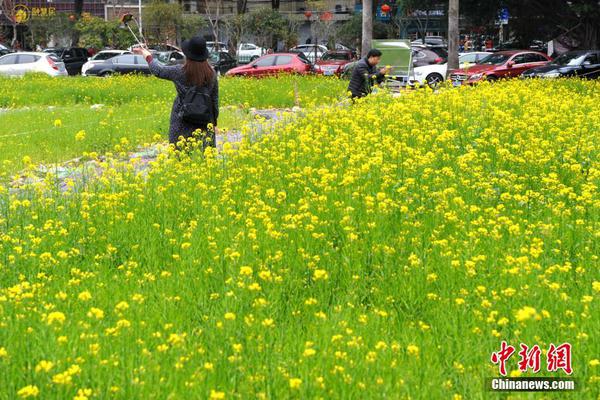 反对派示威之后 马杜罗讲话：这是起“未遂政变”_云服务器32G内存