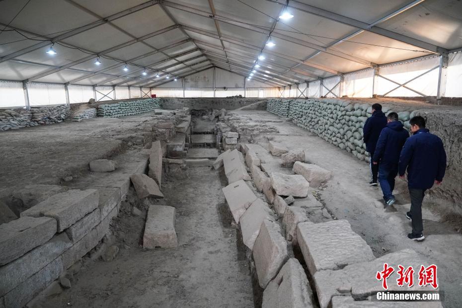 五一出游季带着宠物去旅行 羡慕动物界那些旅游达人_9929季付