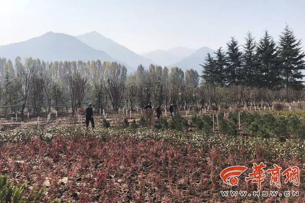 面对难民的情怀与现实_US CN2 server