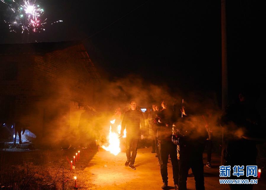 主人给金毛买只小鸡崽，金毛宠鸡上天，打招呼方式太可爱_京东云服务器