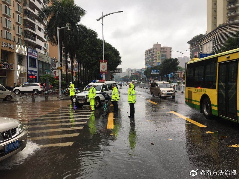 千亿白马股落魄 ST康得新高管集体说年报业绩不保准_云手机多开