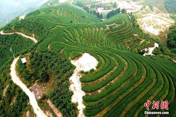 “五一”假期多地铁路加开旅游专列 满足游客出行需求_国产芯片云服务器