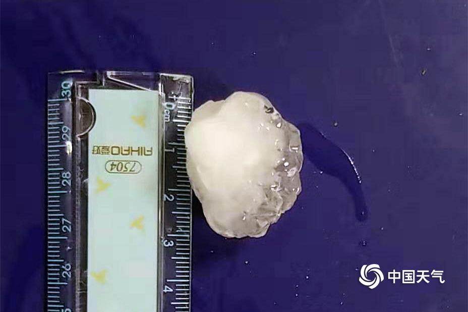华泰柏瑞首季8混基涨不足10%_云服务器解决方案