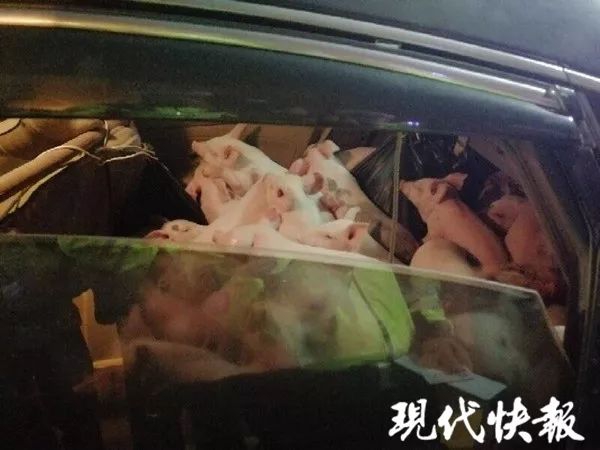 保时捷女司机醉驾 酒精检测时撒娇:你们很过分哎_K8s云服务器