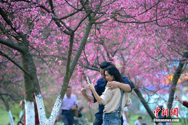 让女神爱上跟你聊天12个套路_云服务器包年包月