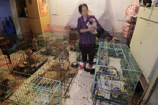 弑母嫌犯同事:他常去嫖娼 曾调戏女服务员意图明显_在线教育