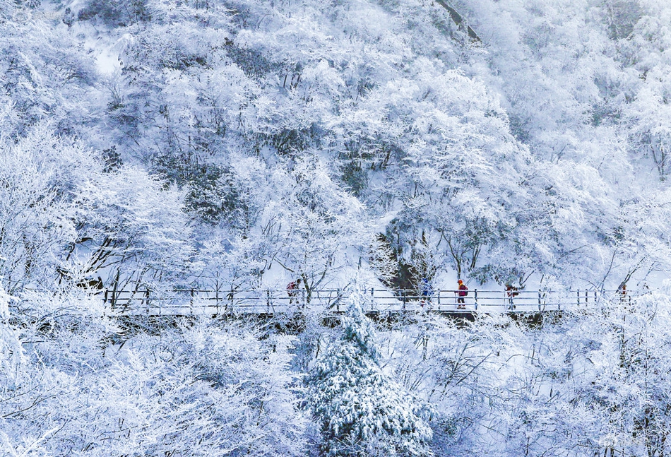 台媒：郭台铭将赴白宫与特朗普会谈_低延迟CN2服务器