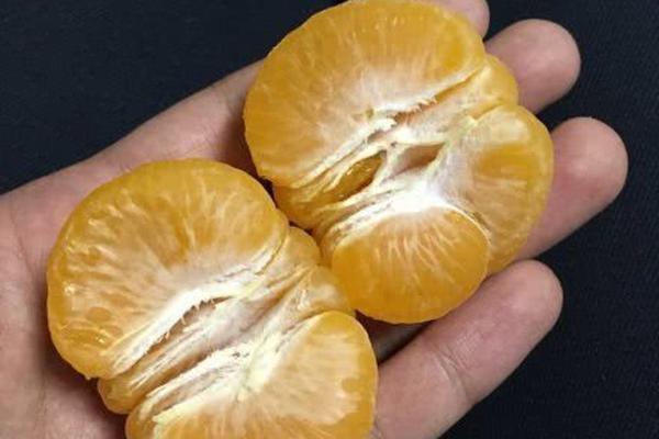替嫁娇妻:偏执总裁宠上瘾_显卡挂机宝