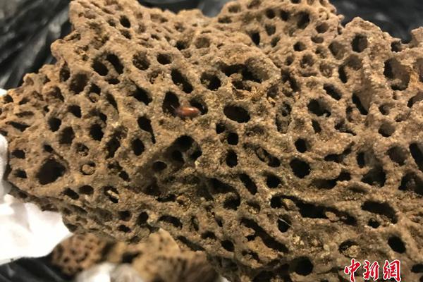 卡纳瓦罗:放弃执教国足是正确决定_云服务器怎么选