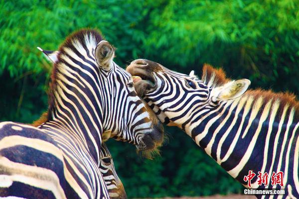 万达酒店去年扭亏为盈_CN2服务器机房