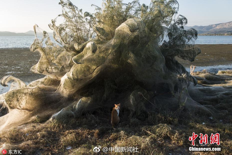 医生提醒:最近做这件事千万要注意