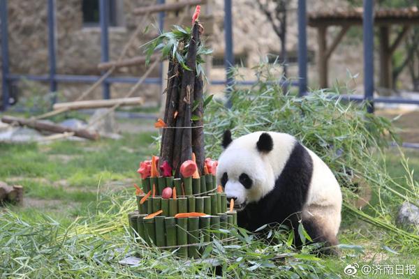 绑定域名需要加www.吗_CN2微服务