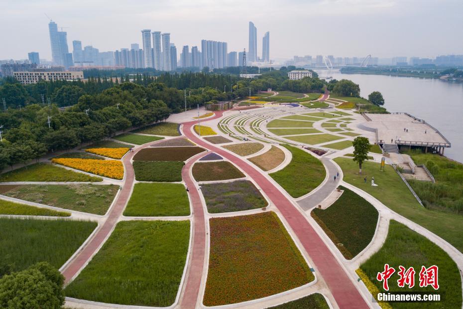 苹果最新财报公布：利润大跌16%，中国市场遭遇重创_云电脑高性能计算