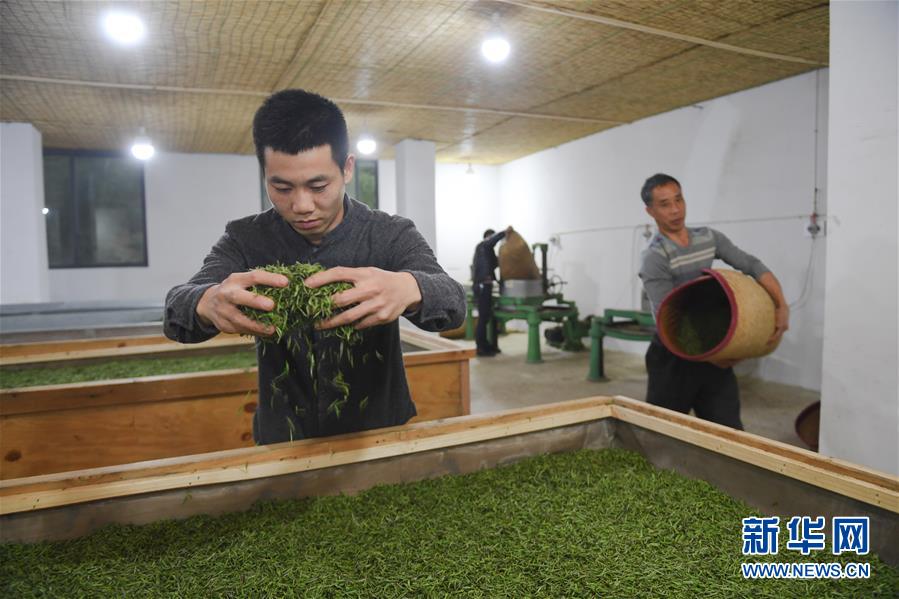 为什么缓解高血压需要吃这3种蔬菜,很多人都不知道原因_金山云服务器