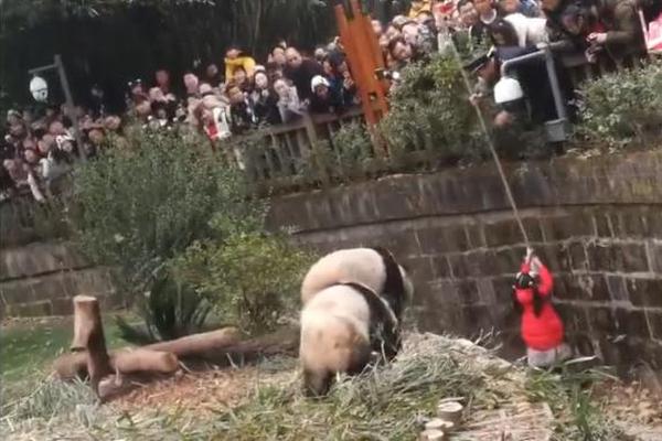 特朗普真想就削减核武器与中国谈判？_科学计算云服务器