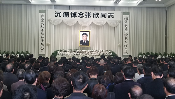 怎么免费绑定域名_云电脑自动分配