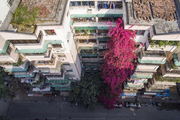 欧洲12国组建电子竞技联盟_CN2服务器促销