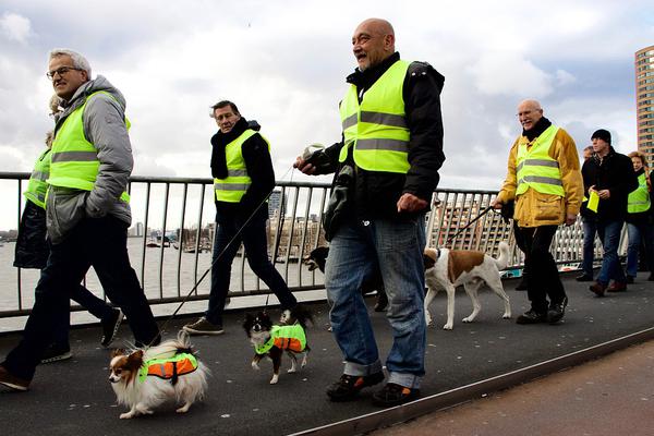 华为P30双景录像功能上线_香港CN2线路