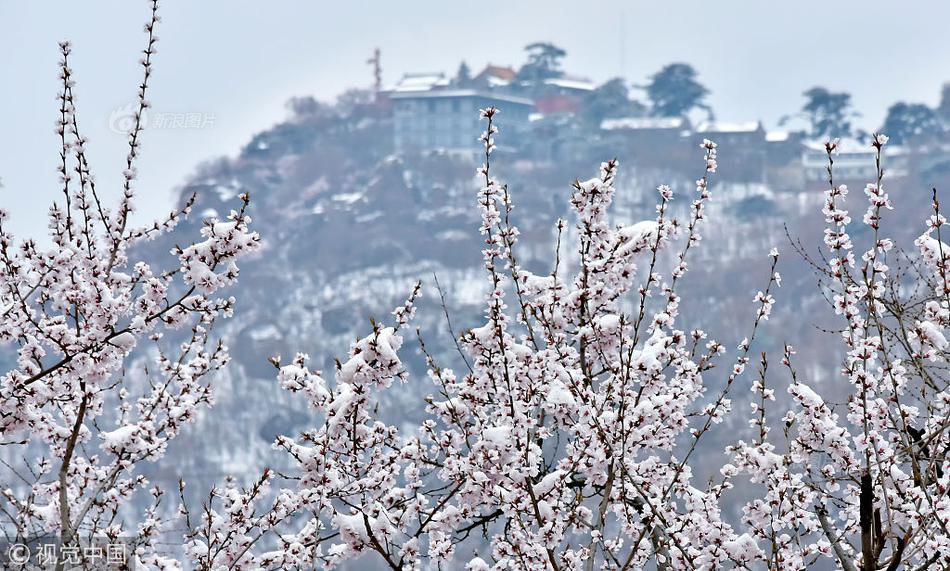 怕老婆是隋文帝一生的软肋_挂机宝性能