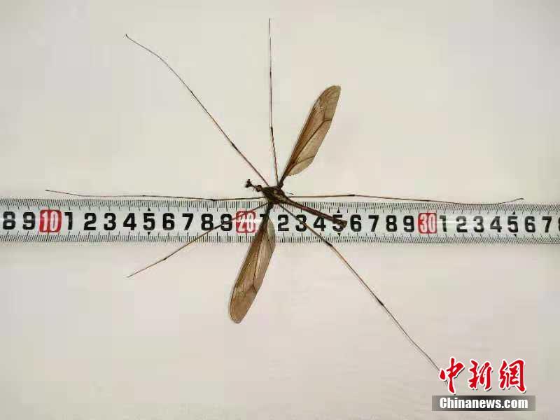 马化腾：拿出10亿元支持我国基础科学研究_China Telecom CN2