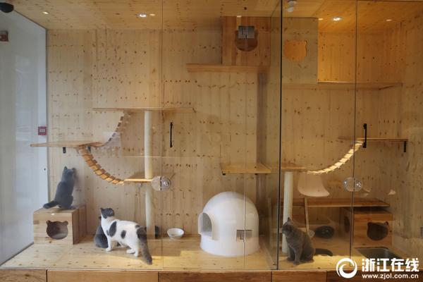19:35总决赛G3 桑拿男引领新疆反击?_9929路由追踪