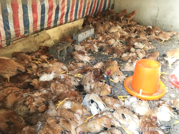 上半年 这些科学新成果或改变你我生活_挂机宝CMIN2