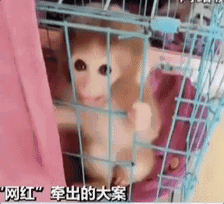 网易公布2018年第一季度财报_云托管