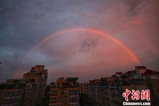 《创2》成员淘汰被粉丝扔鸡蛋_挂机宝纯净IP