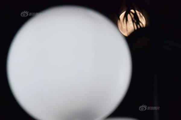 明犯强汉者虽远必诛：说这话差点被灭族_域名及账户问题