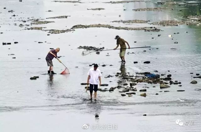 习近平祝贺日本新天皇即位_企业邮局